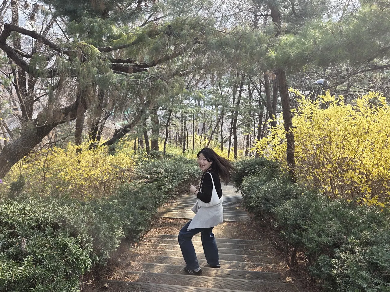 2026.03.29 중앙대학교 대표 사진